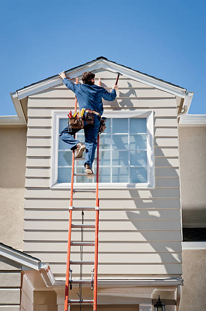 Best Steel Siding Installation  in Proctor, MN